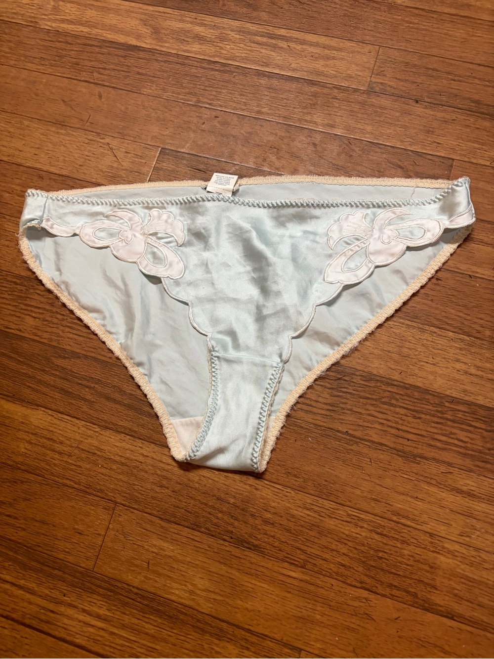 Natori  Silk-Feel Light Blue Embroidered Bikini Panty - Women Intimates